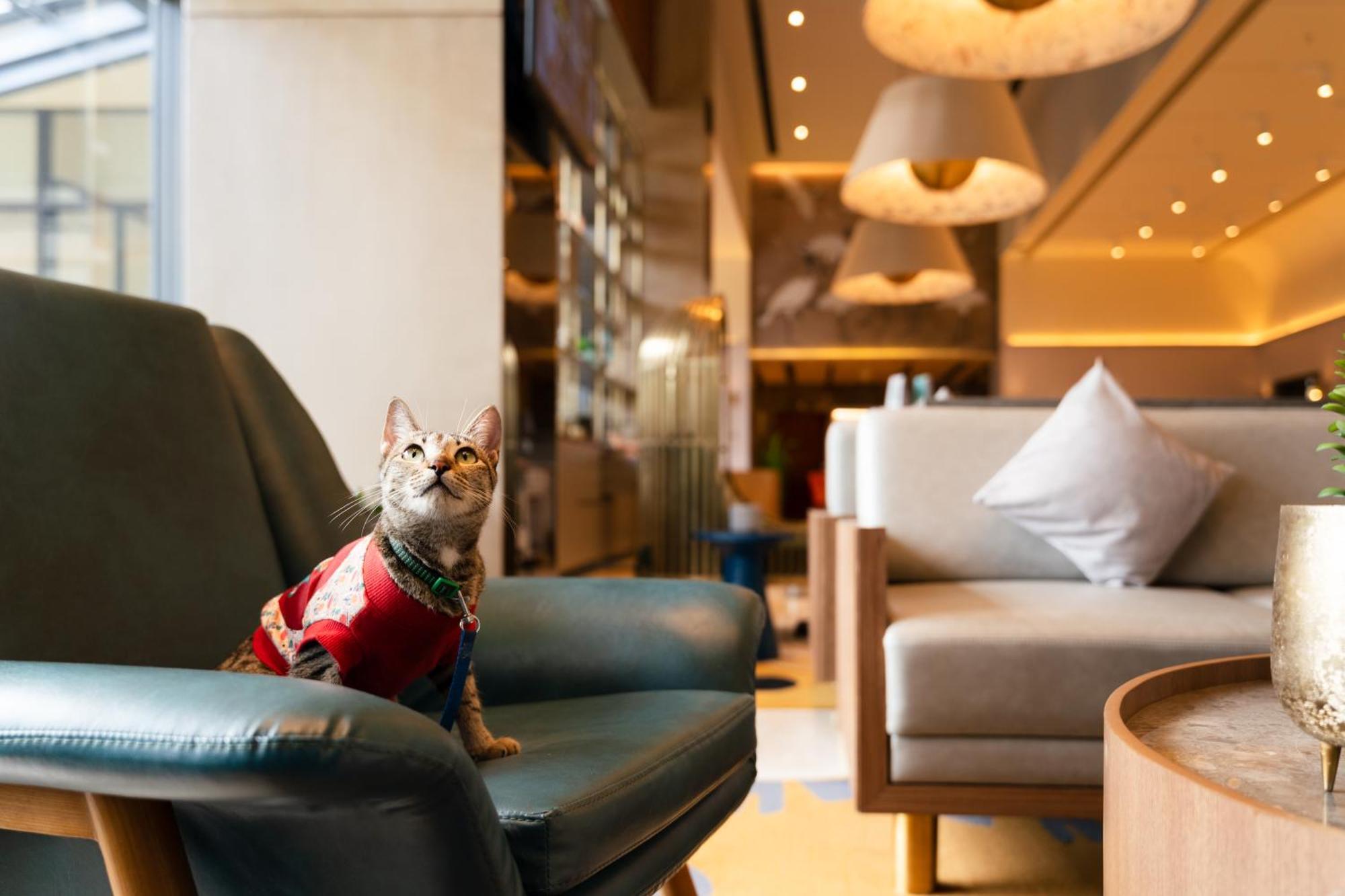 Ibis Styles Mysuru Hotel Kültér fotó